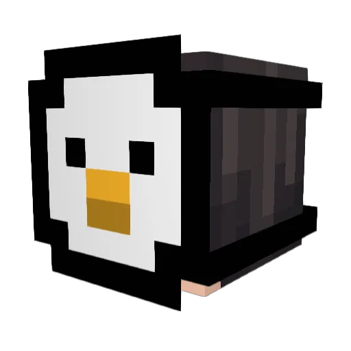 xiaoshulin63 Minecraft avatar head, 3D render
