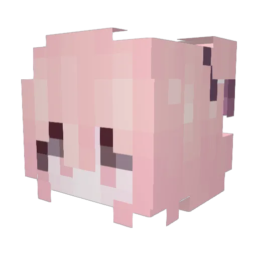 xiaoshuo2003 Minecraft avatar head, 3D render