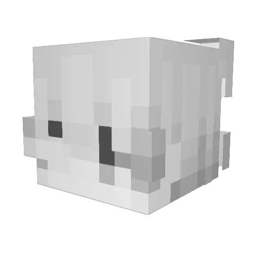 xiaoxiao112 Minecraft avatar head, 3D render