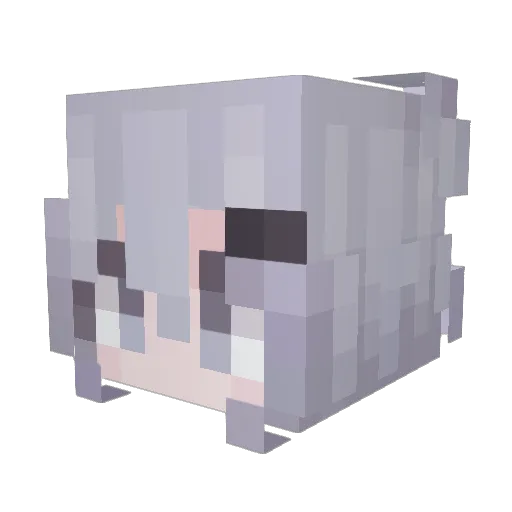 xiaoxinsg Minecraft avatar head, 3D render