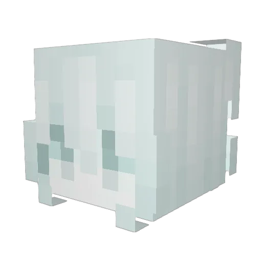 xiaoz1437 Minecraft avatar head, 3D render