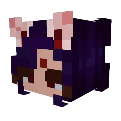 xiaozxiongmao Minecraft avatar head, 3D render