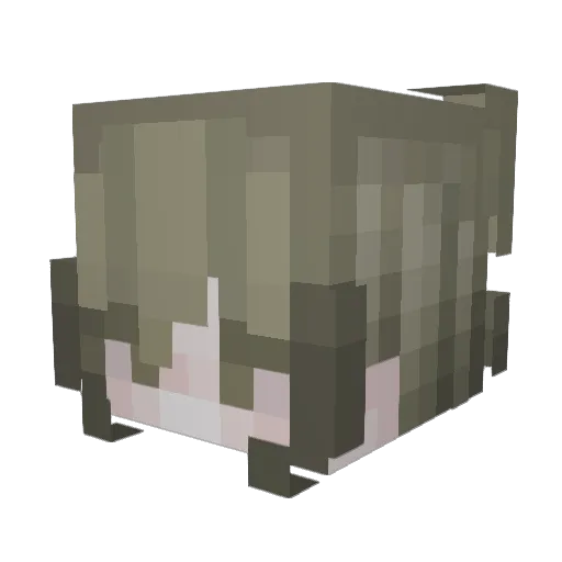 xibau Minecraft avatar head, 3D render