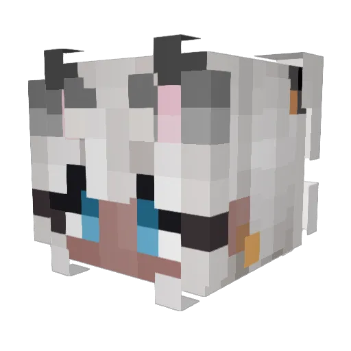 xichengC Minecraft avatar head, 3D render