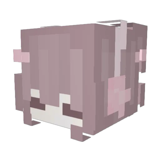 xideva Minecraft avatar head, 3D render