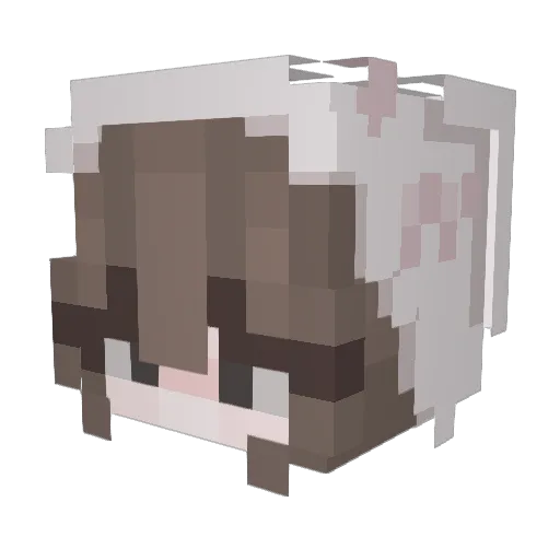 xielyn Minecraft avatar head, 3D render