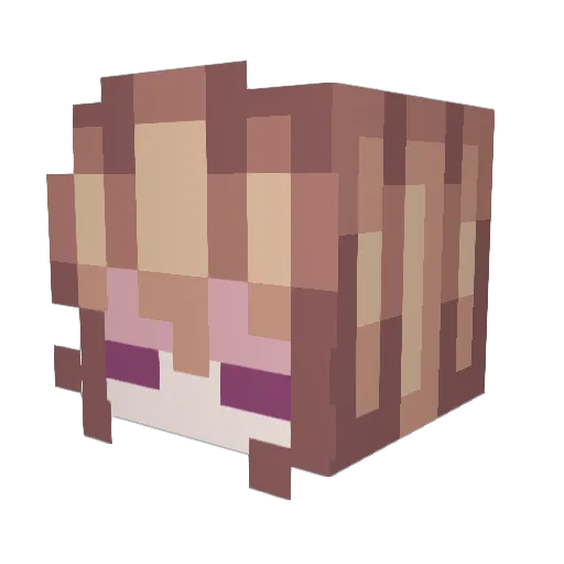 xieris Minecraft avatar head, 3D render