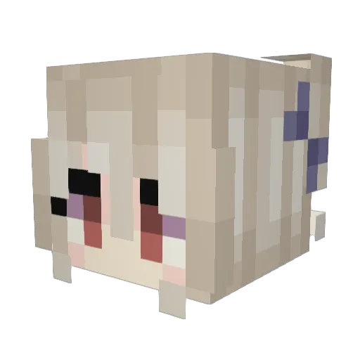 xiery215 Minecraft avatar head, 3D render