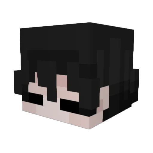 xigua132 Minecraft avatar head, 3D render