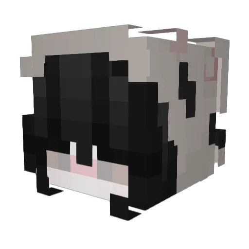 xii_EL Minecraft avatar head, 3D render