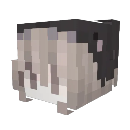 xiioh Minecraft avatar head, 3D render