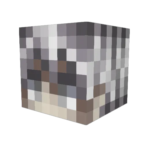 xiixoru Minecraft avatar head, 3D render