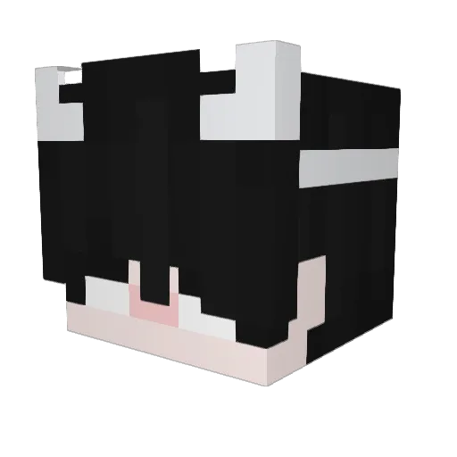 xikinos Minecraft avatar head, 3D render