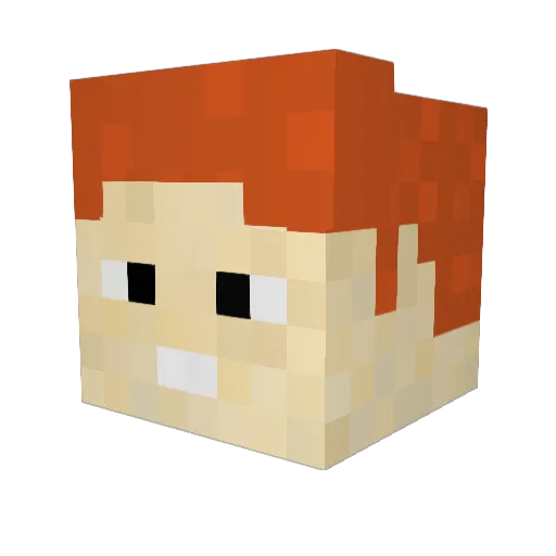 xilus Minecraft avatar head, 3D render