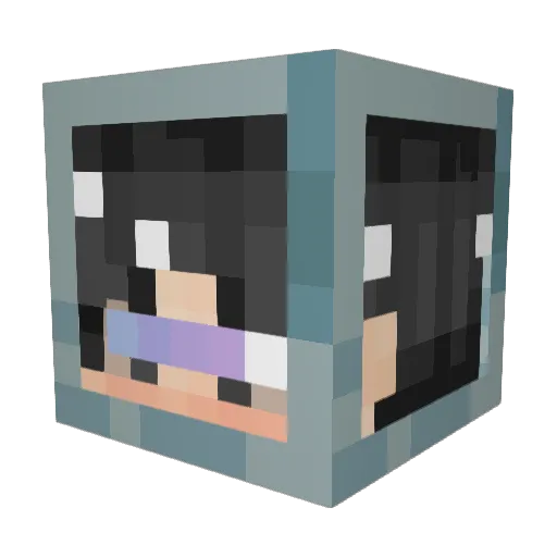 xin_zhe Minecraft avatar head, 3D render