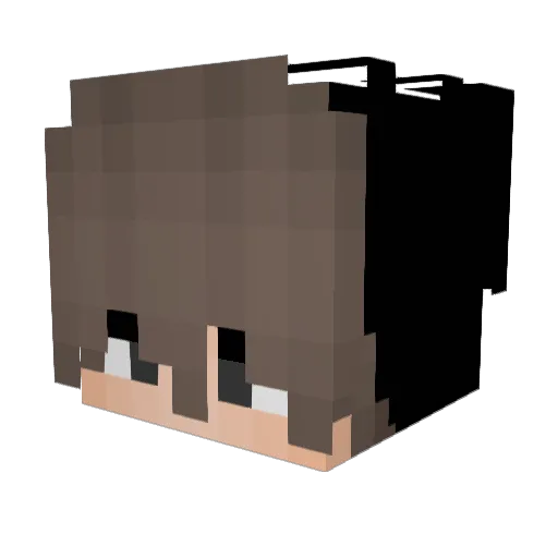xindex Minecraft avatar head, 3D render