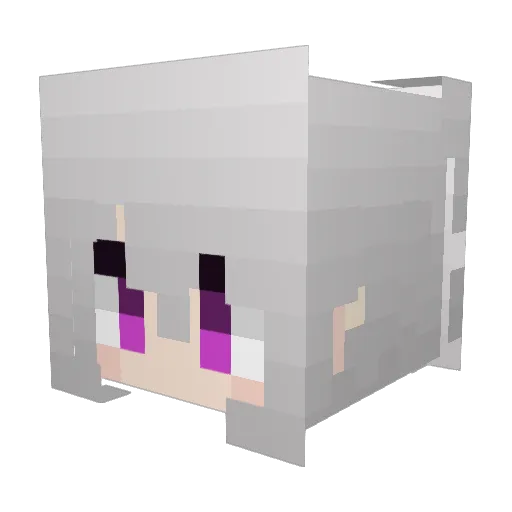 xingkong58 Minecraft avatar head, 3D render