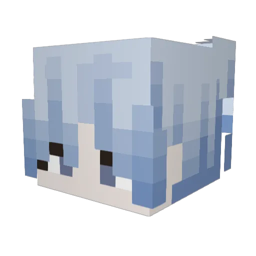 xinxin1d Minecraft avatar head, 3D render