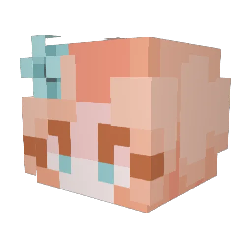 xinyaz Minecraft avatar head, 3D render