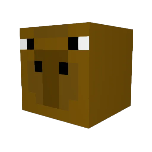 xion96 Minecraft avatar head, 3D render