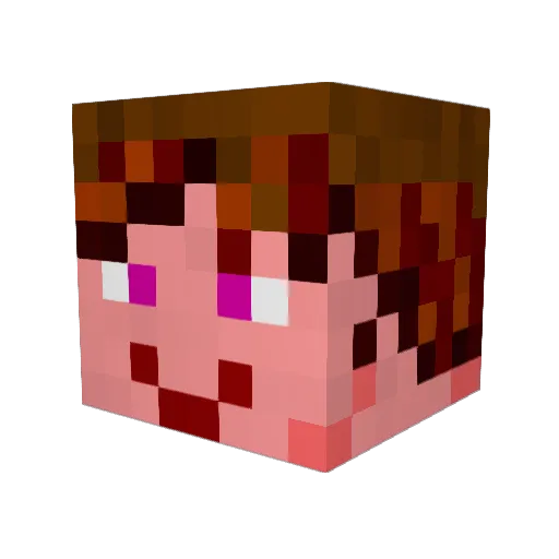 xion_lim Minecraft avatar head, 3D render