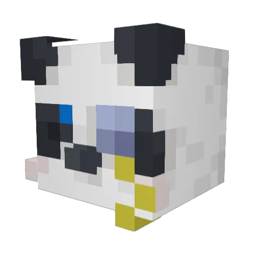 xiong2156 Minecraft avatar head, 3D render