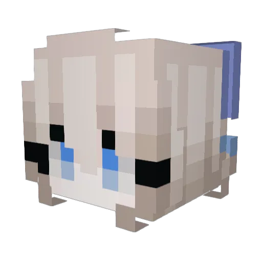 xiorou Minecraft avatar head, 3D render