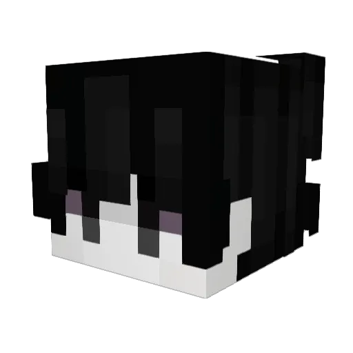 xiott Minecraft avatar head, 3D render