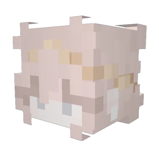 xiru222 Minecraft avatar head, 3D render