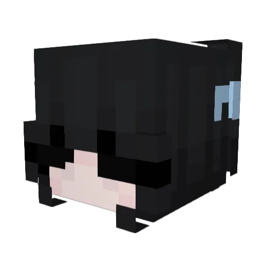 xiruls Minecraft avatar head, 3D render