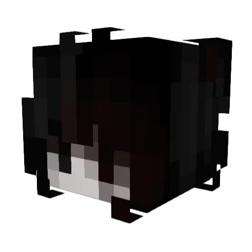 xise Minecraft avatar head, 3D render