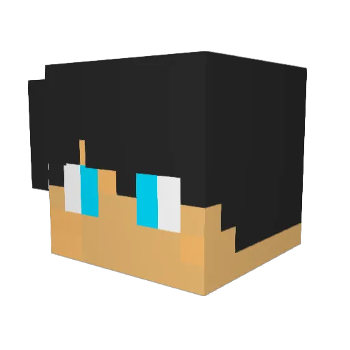 xitadinh0S_ Minecraft avatar head, 3D render