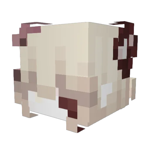 xixeto Minecraft avatar head, 3D render