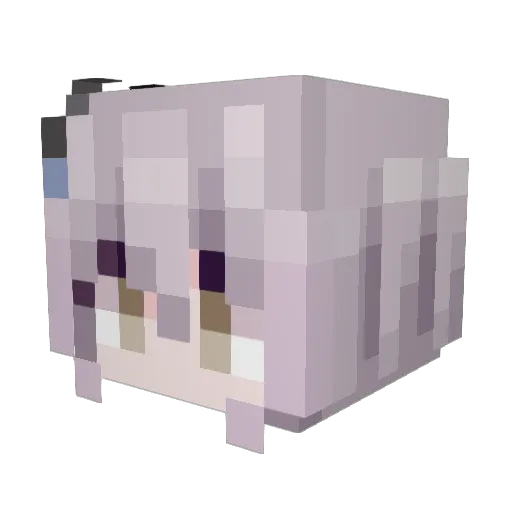 xixishishi Minecraft avatar head, 3D render