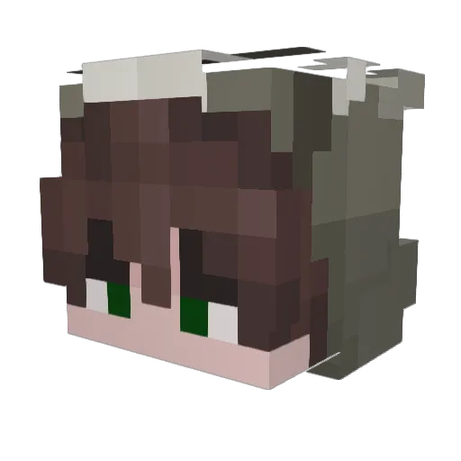 xjusdrein Minecraft avatar head, 3D render