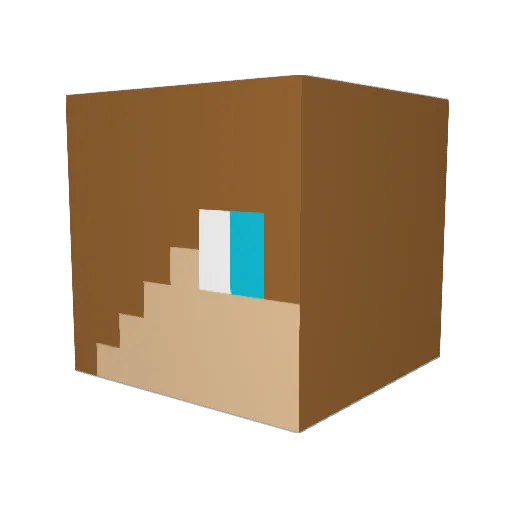 xk1206 Minecraft avatar head, 3D render