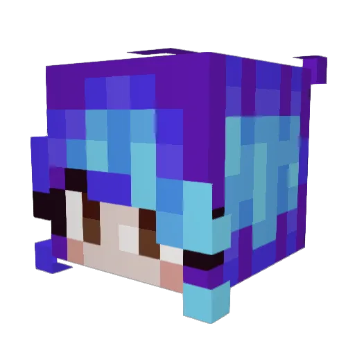 xkadi0 Minecraft avatar head, 3D render