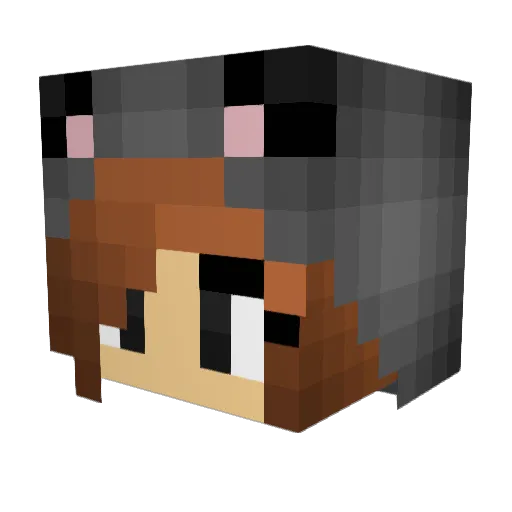 xkittyx12 Minecraft avatar head, 3D render