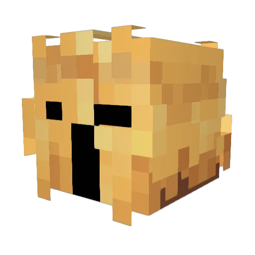 xksthsms Minecraft avatar head, 3D render