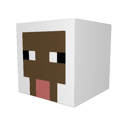xlfunny Minecraft avatar head, 3D render