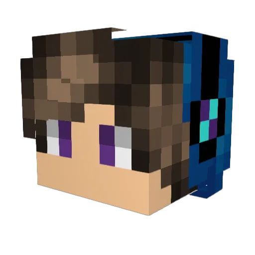 xll14 Minecraft avatar head, 3D render