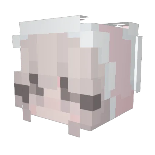 xllnbbnllx Minecraft avatar head, 3D render