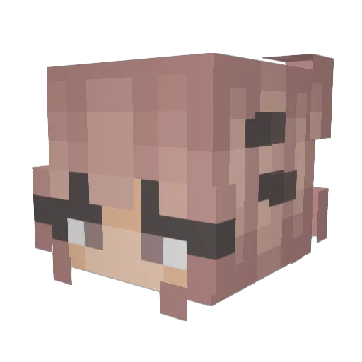 xlovelyxblissx Minecraft avatar head, 3D render