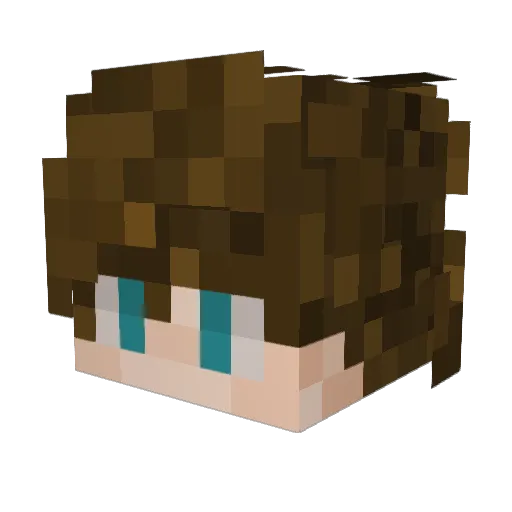 xludvig13 Minecraft avatar head, 3D render