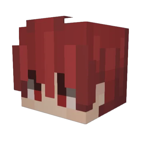 xluggax Minecraft avatar head, 3D render
