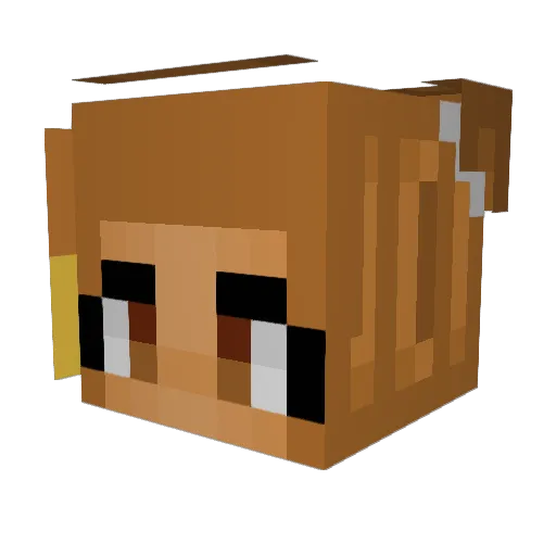 xlxtti00 Minecraft avatar head, 3D render