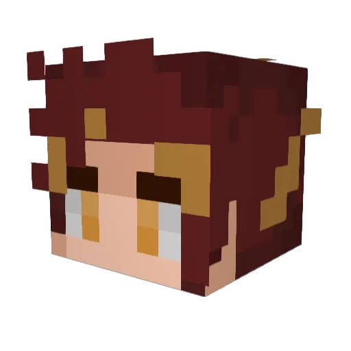xmaBlackBelt Minecraft avatar head, 3D render
