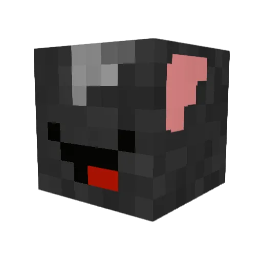 xmbwx5 Minecraft avatar head, 3D render