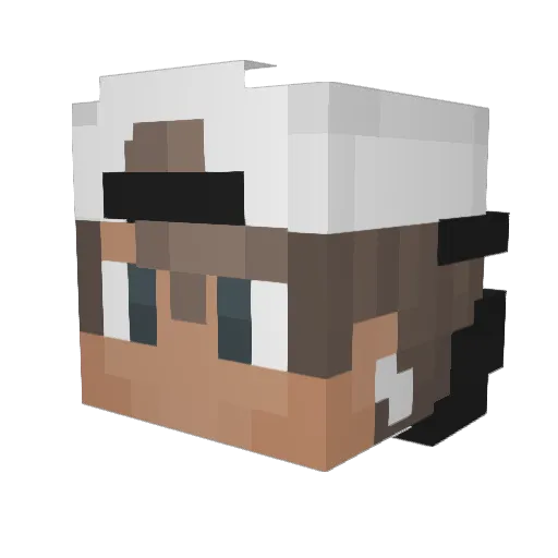 xmellex06 Minecraft avatar head, 3D render