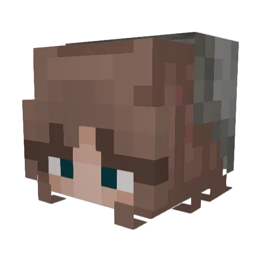 xmiaahhx Minecraft avatar head, 3D render